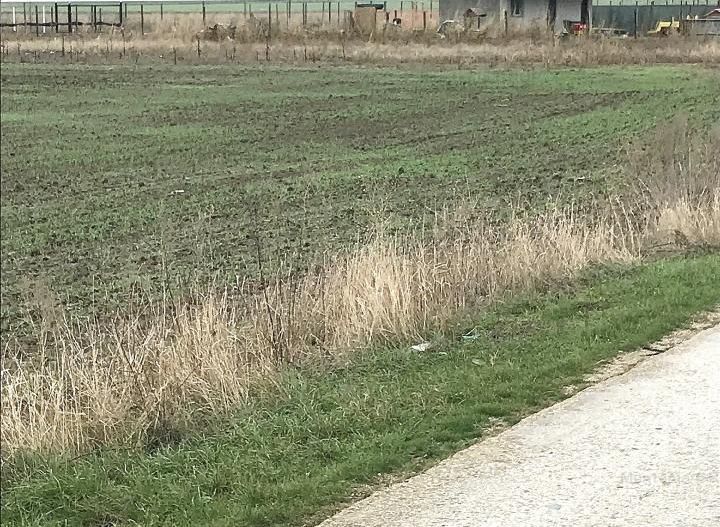 CORBU spre plaja Corbu, teren intravilan 965 mp. ideal constructii - Poză 4