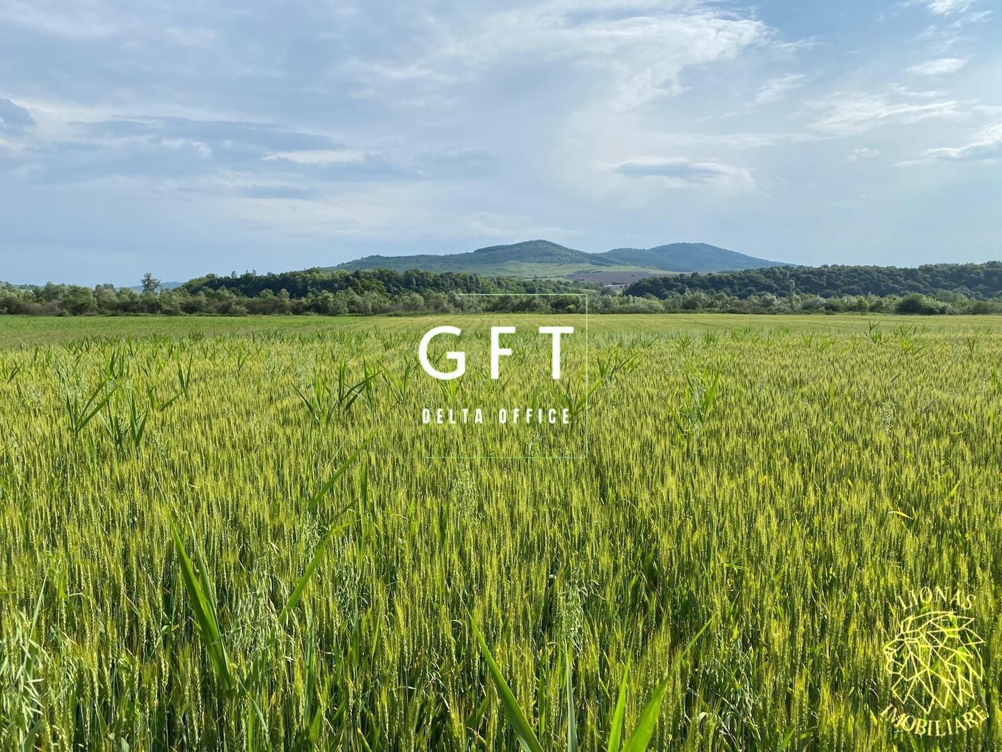 Teren -4.300 mp - Arabil - Chintelnic - Poză 5