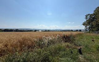 Teren intravilan de vânzare | Horodnic de Sus | 77 ari - Poză 6