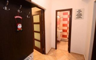 Garsoniera in cartier de case, la curte, pet friendly, Centrul istoric - Poză 6