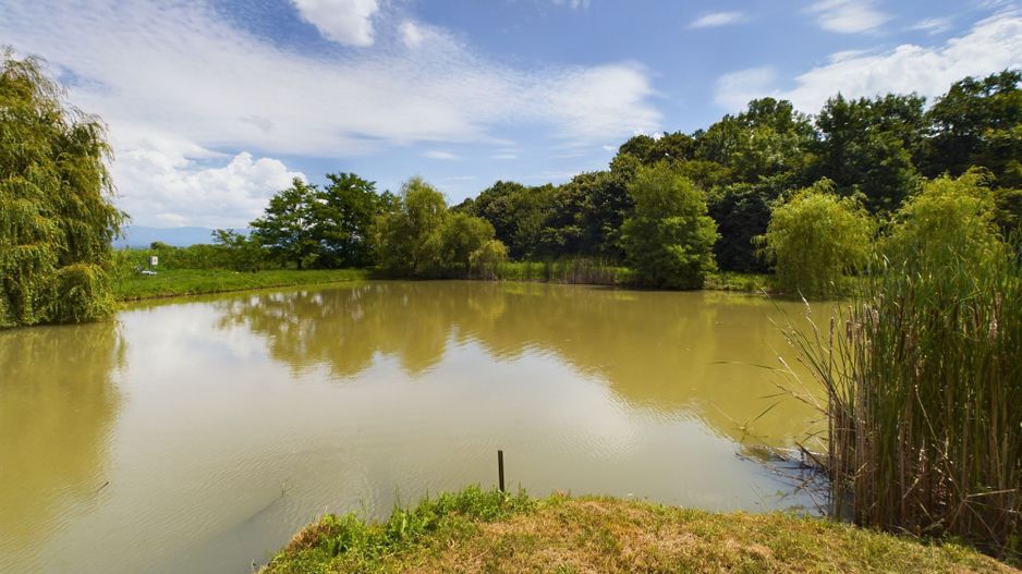 Moară istorică cu teren și luciu de apă în Aldești - Poză 4