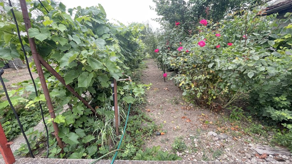 Casa cu teren de 915 mp și front de 20 ml - Poză 1
