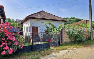 AZURA Imobiliare - Casa Merisani zona Primarie, Panouri fotovoltaice - Poză 30