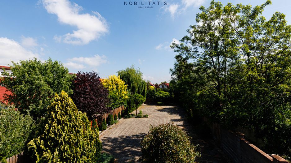 Oferta inchiriata - Cladire comerciala - Fropin & Lidl | 10 locuri parcare - Poză 6