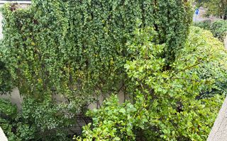 UNIC in Zona - Apartament in Vatra Luminoasa - Poză 2