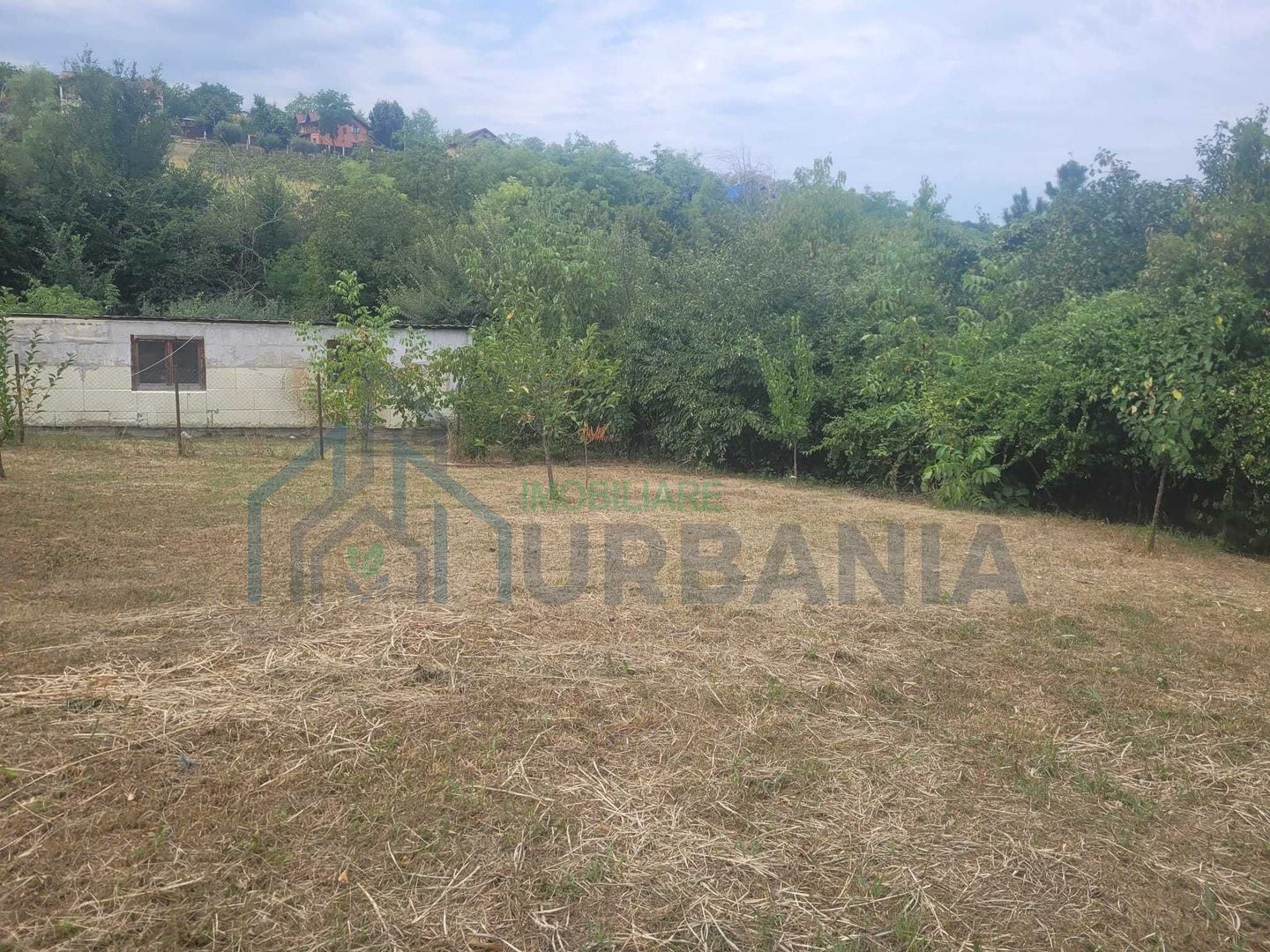 Casă și teren în Breazu, Str. Pârâului – 4 camere, 700 mp teren - Poză 6