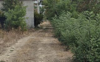 Teren Intravilan Sacadat 2000 mp - Poză 3