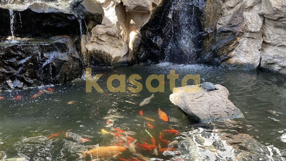 Garsonieră modernă de închiriat – North Lake Herăstrău - Poză 7