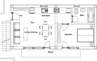 Apartament 2 camere, Valea Lupului-Rediu, 51mp, 0% comision - Poză 8