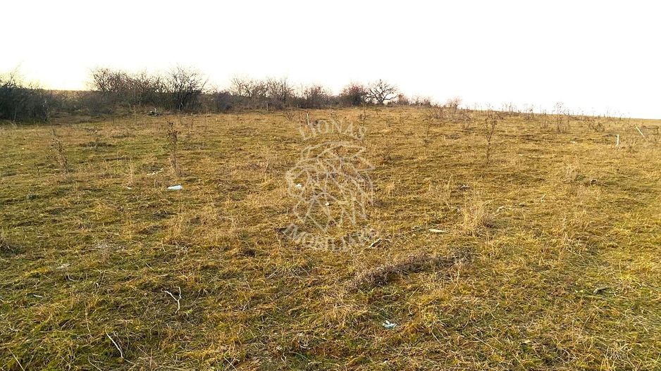 Teren intravilan-500 mp-ideal casa-Zona Valea Sigmirului Exclusiv - Poză 4