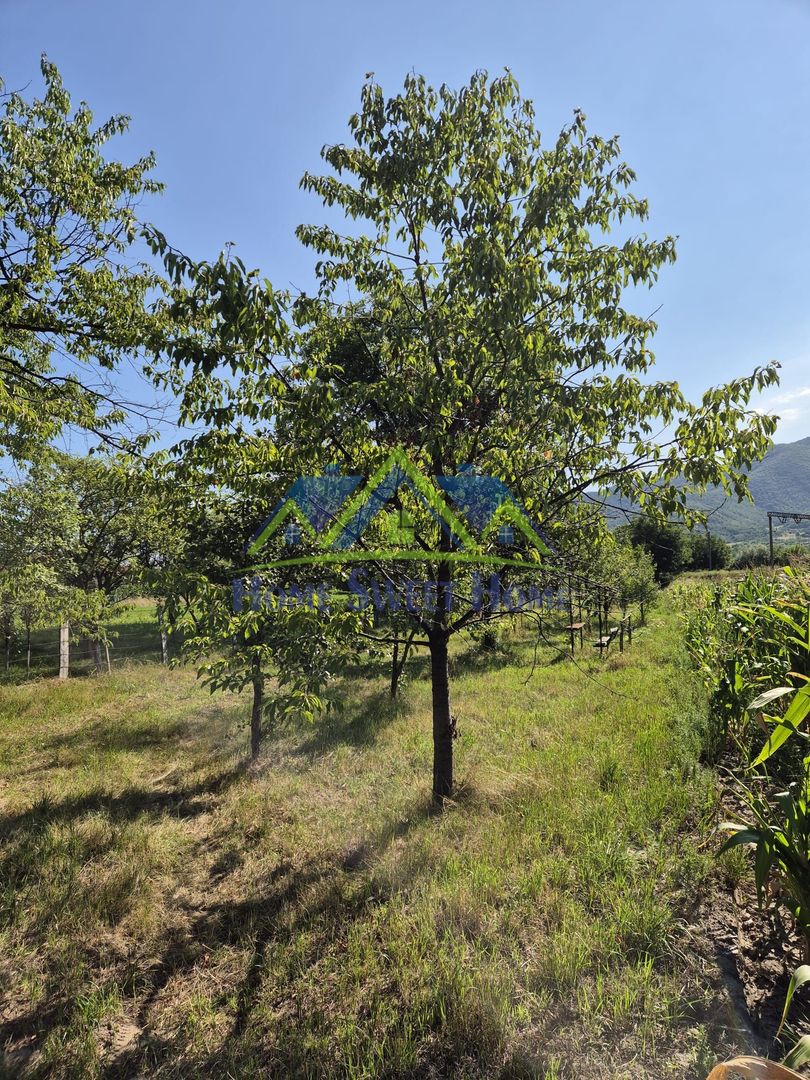 Teren intravilan 1.370 mp – Subcetate, – 10.900 euro neg., - Poză 3