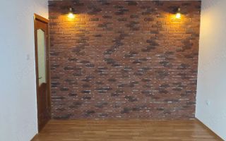 Pacurari,langa gradina botanica,ap 2CD - Poză 4