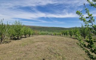 Teren intravilan de vanzare in zona Copou, langa Pensiunea Carolina, Iasi - Poză 7