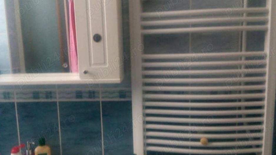 De vanzare Garsoniera Studio 1 camera Cismigiu Pod Hasdeu CURTE propie - Poză 5