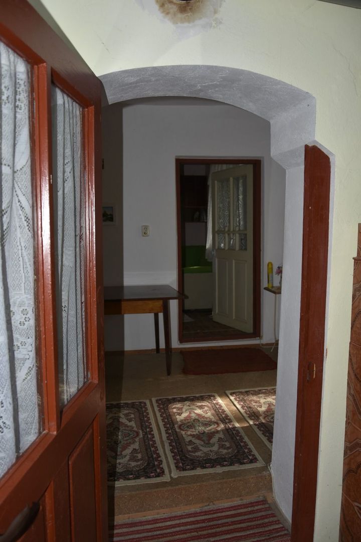 CASĂ TRADIȚIONALĂ CU GRĂDINĂ GENEROASĂ ȘI VIE – ISACCEA, JUD. TULCEA - Poză 8