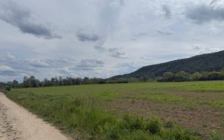 Teren intravilan, 600 mp , 2 parcele, zona Viile Dejului - Poză 2