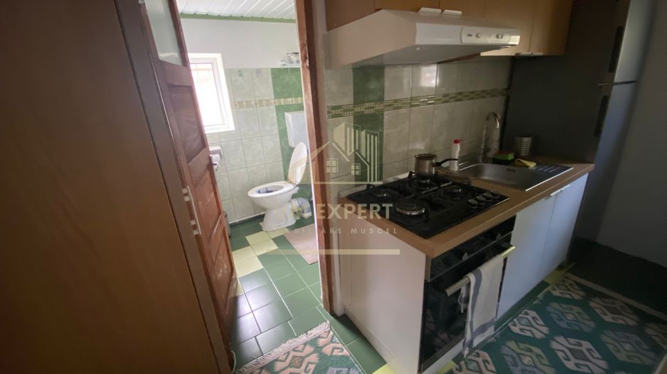 CASA MUSCELEANA 3 CAMERE TEREN 2000 MP BUGHEA DE SUS - Poză 31