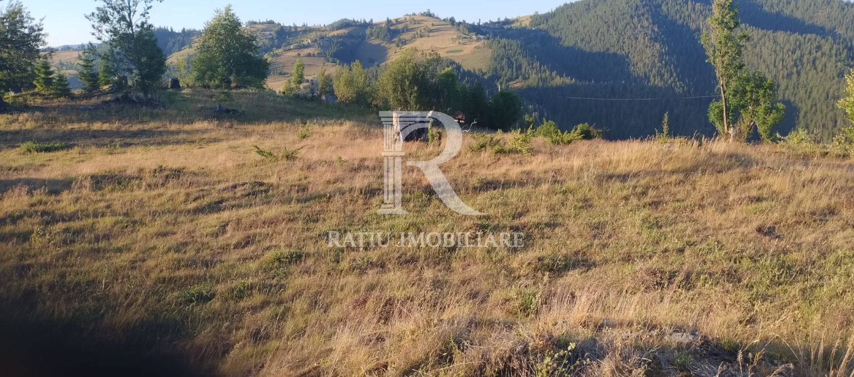 Teren Intravilan | 3.000 mp | Gârda de Sus | Alba | - Poză 5