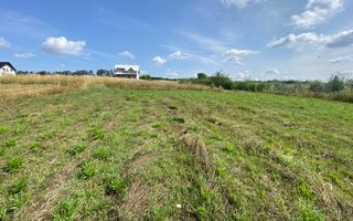 Teren Intravilan | 25 Ari | Voievodeasa - Poză 2