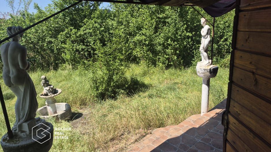 Casa de vacanta in comuna Sistarovat - Poză 12