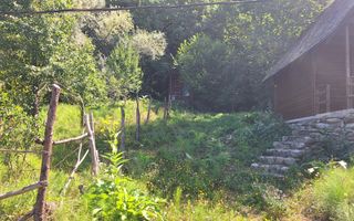 VANZARE ANSAMBLU CASUTE BRADULET ARGES - Poză 18