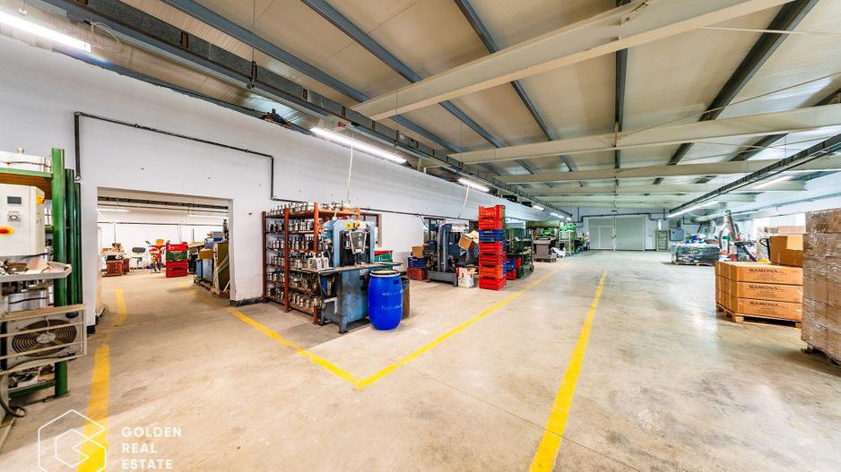 Hala industriala, Pecica, județul Arad - Poză 35