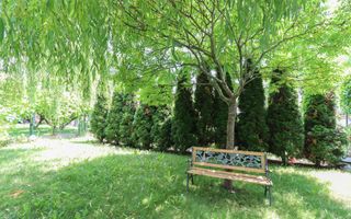 Casa individuala superba de vanzare, cartier Andrei Muresanu! - Poză 12