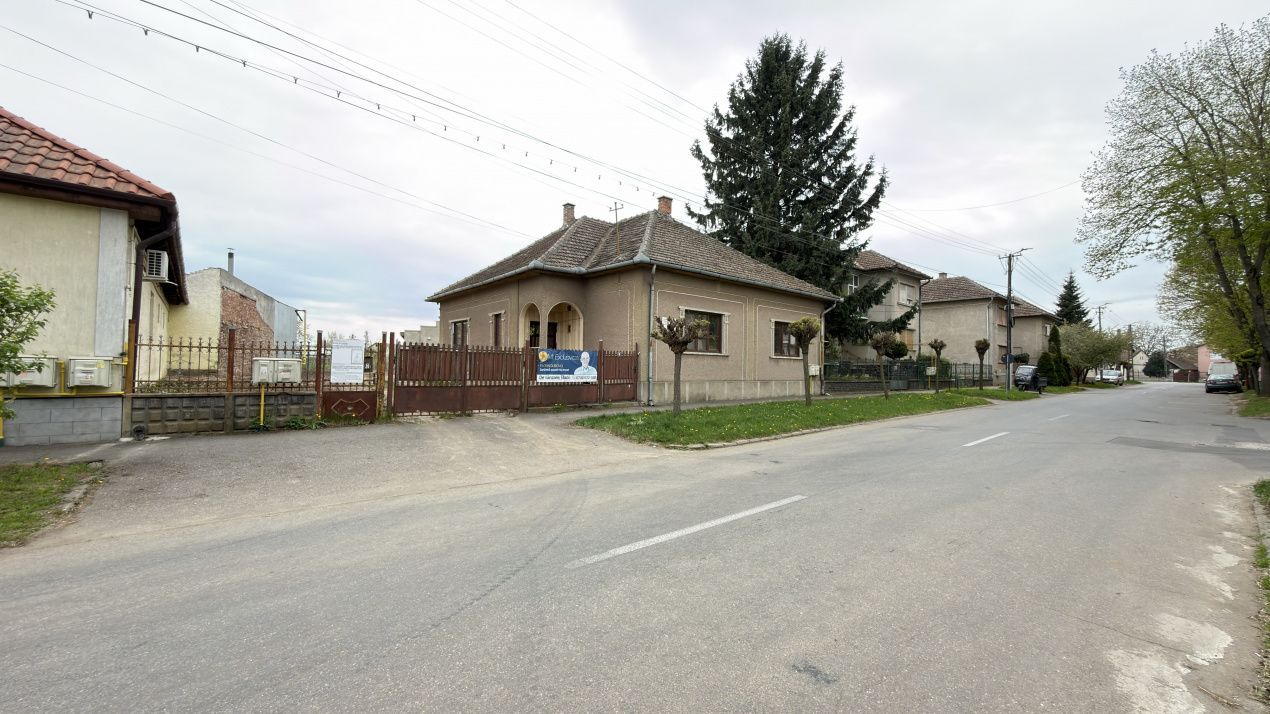 Proprietate cu 2 case | Teren 546 mp | Str. Albinelor Nr.18 - Carei - Poză 1