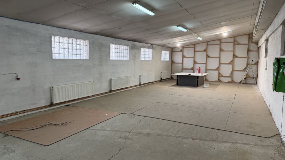 Hală industrială cu poziționare strategică în Giarmata - Poză 18