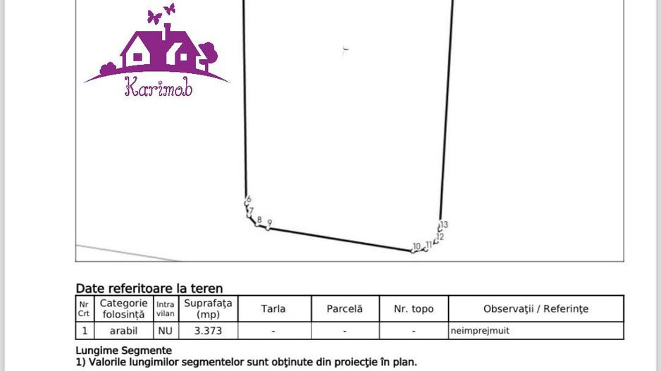 Teren industrial pentru hale - Poză 5