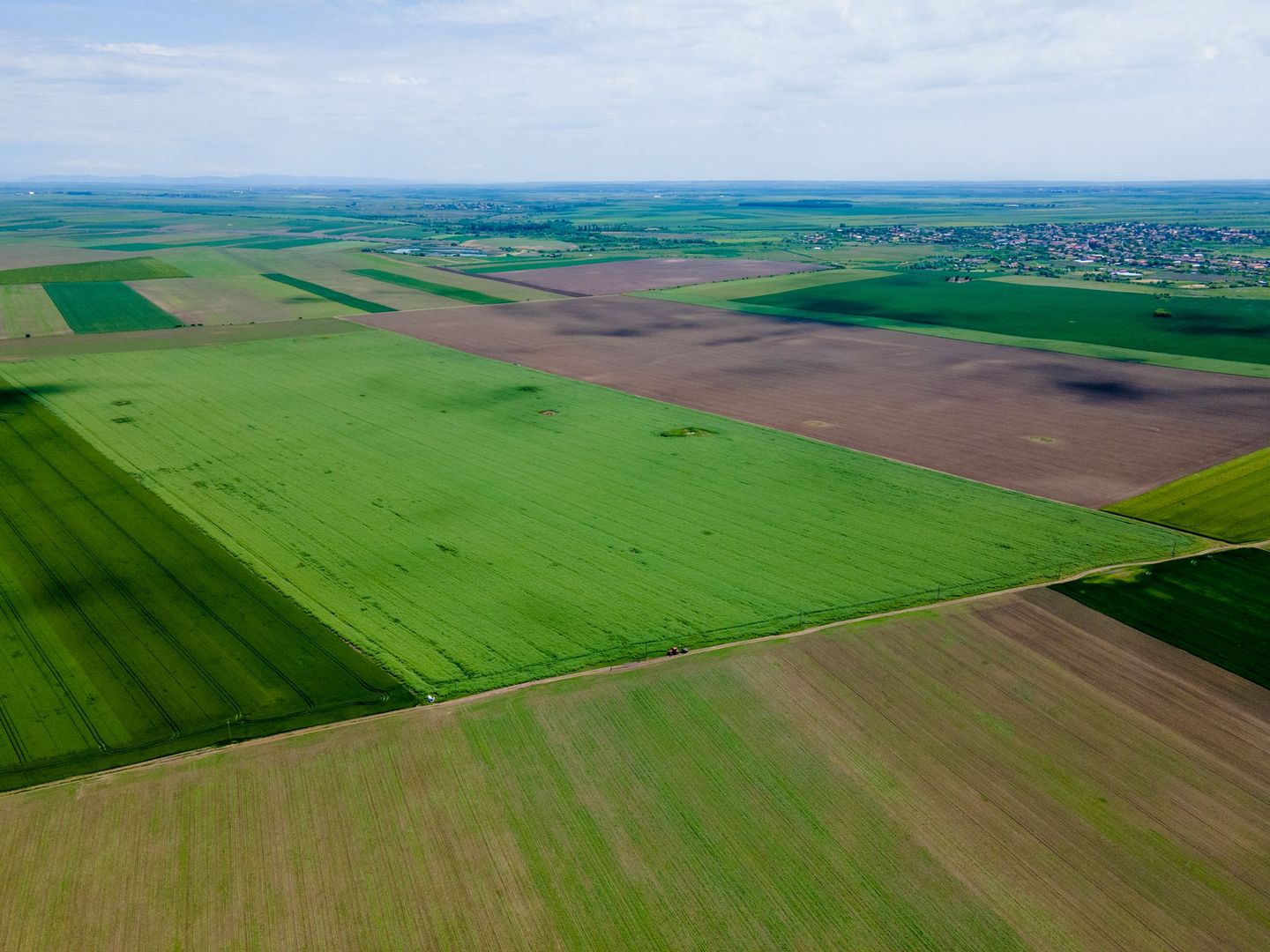 Teren de 5Ha în Satchinez. - Poză 2