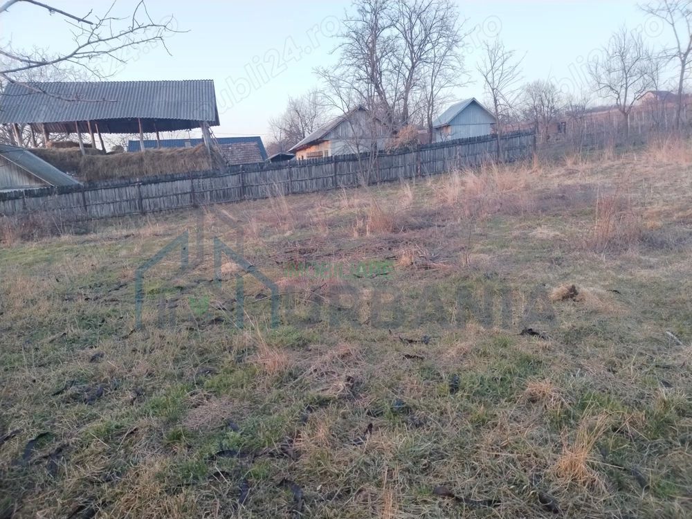 Vanzare teren - zona Ciurea, spre Piciorul Lupului. - Poză 3