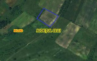 TEREN INTRAVILAN | LOCALITATEA LIVADA, COMUNA ICLOD, JUD. CLUJ - Poză 3