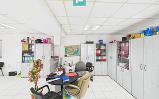 Hală de producție, cu birouri și teren, în Sebiș - Poză 33