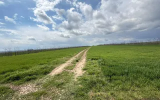 Teren de vanzare in Săcele ideal pentru silozuri, fermă 6 ha - Poză 23