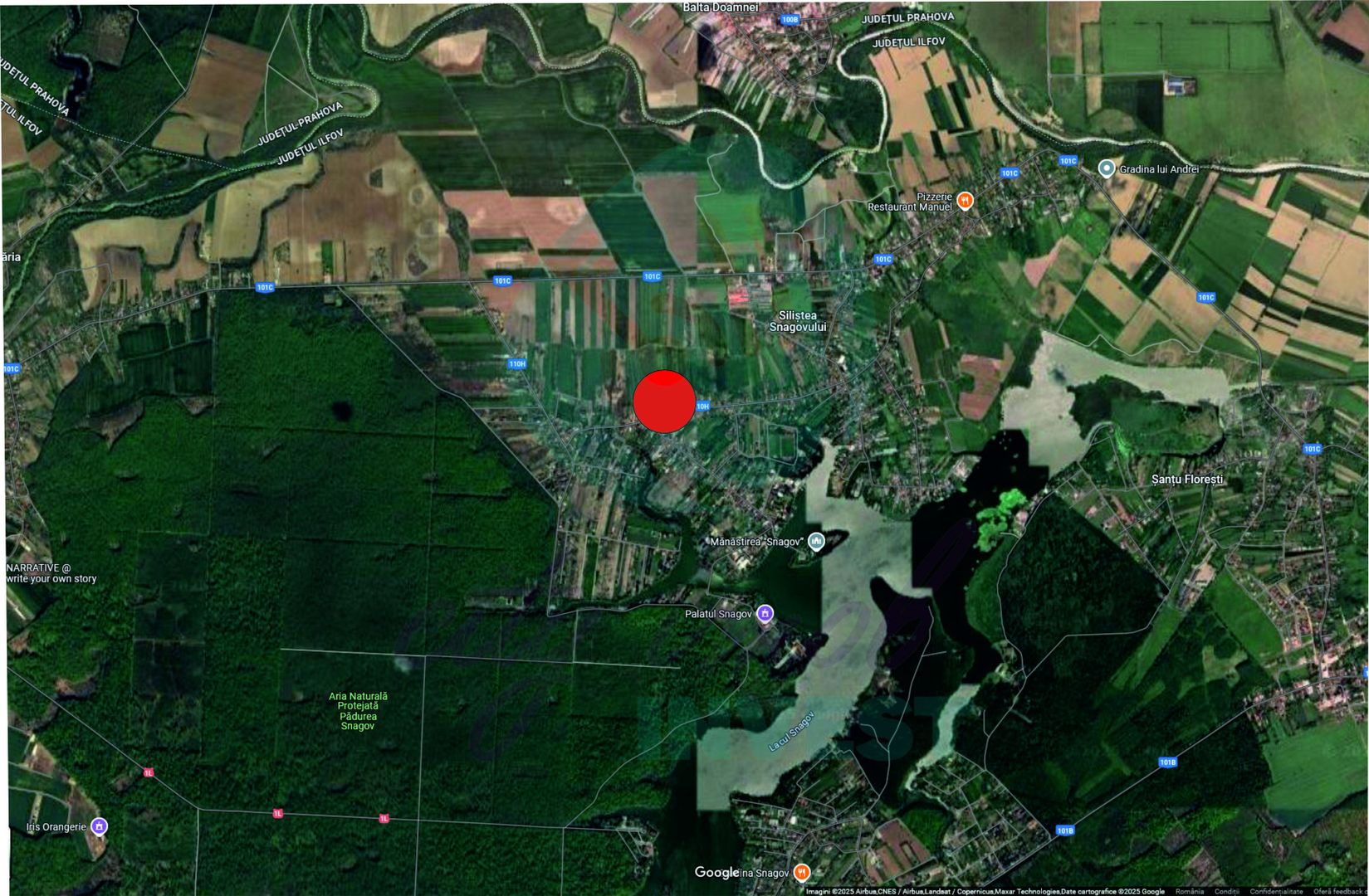 Teren 16534 mp pentru dezvoltare rezidențială, Siliștea Snagovului - Poză 3