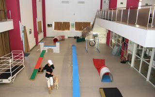 Oferta zilei! Spatiu comercial versatil Voluntari - Poză 7