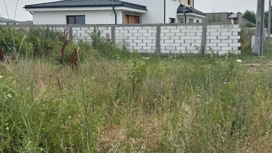 TEREN VIDRA BERCENI 307 MP - Poză 2