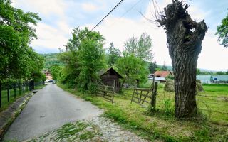 Casa cu teren generos - 4696 mp Apa Sarata - Campulung !! - Poză 16