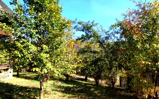 Locuință de vacanță | 106 mp utili | Lunca Mare, Valea Doftanei - Poză 17