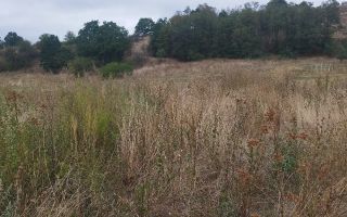 Teren extravilan de vânzare | Vestem | 400 mp | lățime 10 m - Poză 4