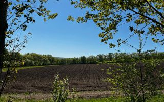 Vânzare, teren agricol, 90 ha, Orhei, satul Seliște - Poză 4