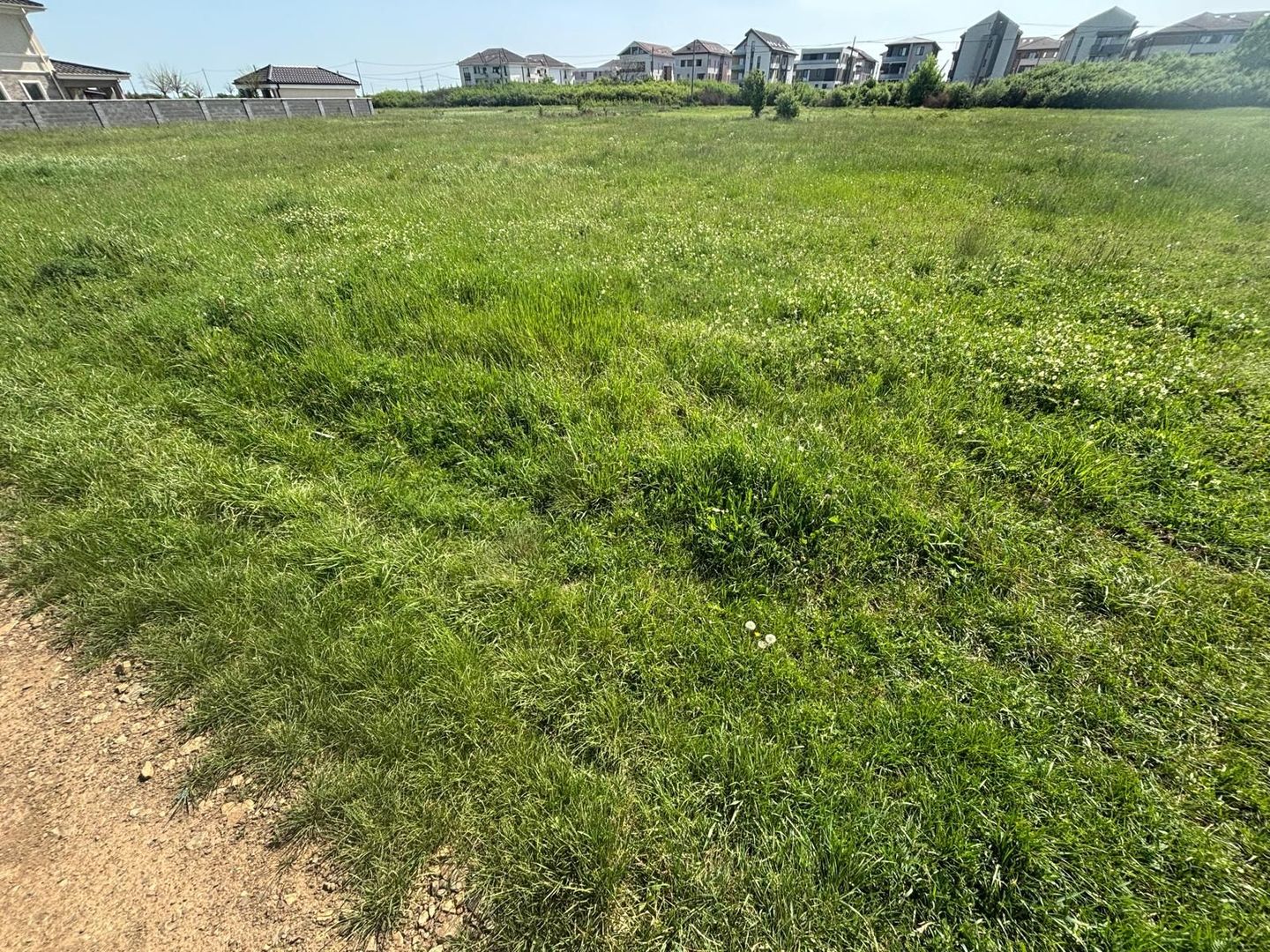 Teren 1239 mp front 29 in Aradul nou - Poză 10