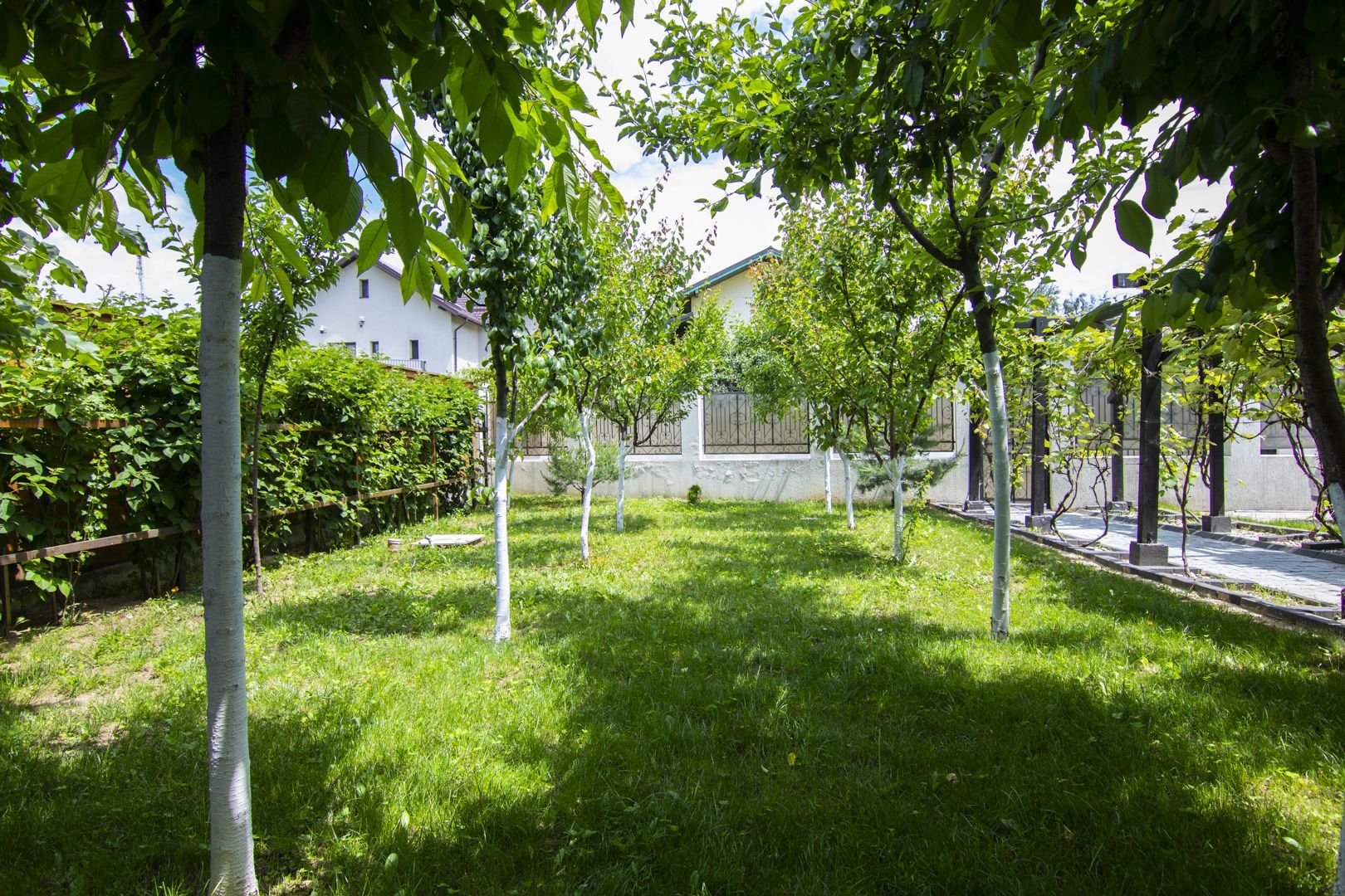 Casă / Vilă, 5 camere, teren 690 Mp., Prelungirea Ghencea - Maracineni - Poză 9