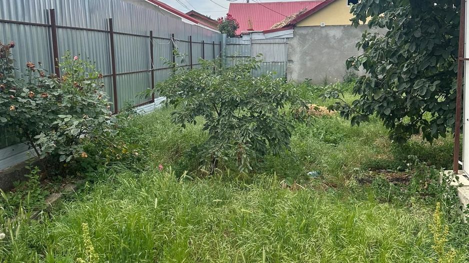 Vanzare casa +teren Cernica - Poză 1