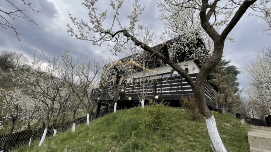 Casa de vacanta**Panorama spectaculoasa//Provita de Jos_Prahova - Poză 3