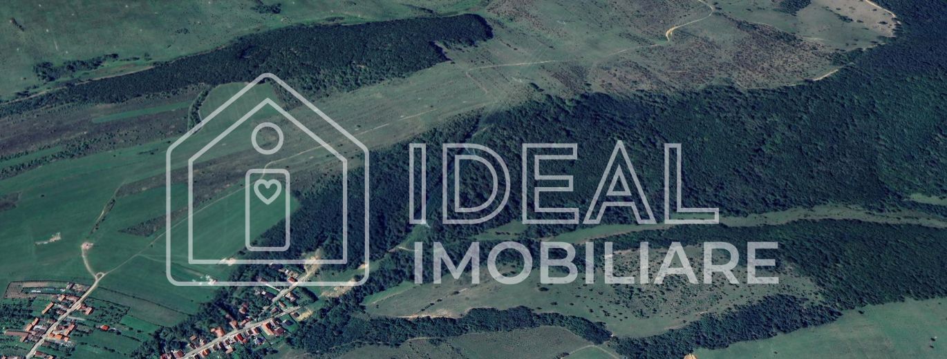 Pădure matură 12,71 ha - Mag, jud. Sibiu - potențial exploatare 2025 - Poză 2