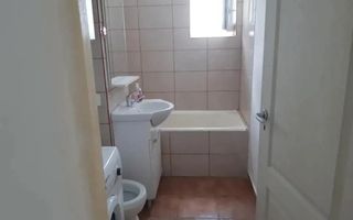 Apartament 1 camera zona Buziasului - Poză 8