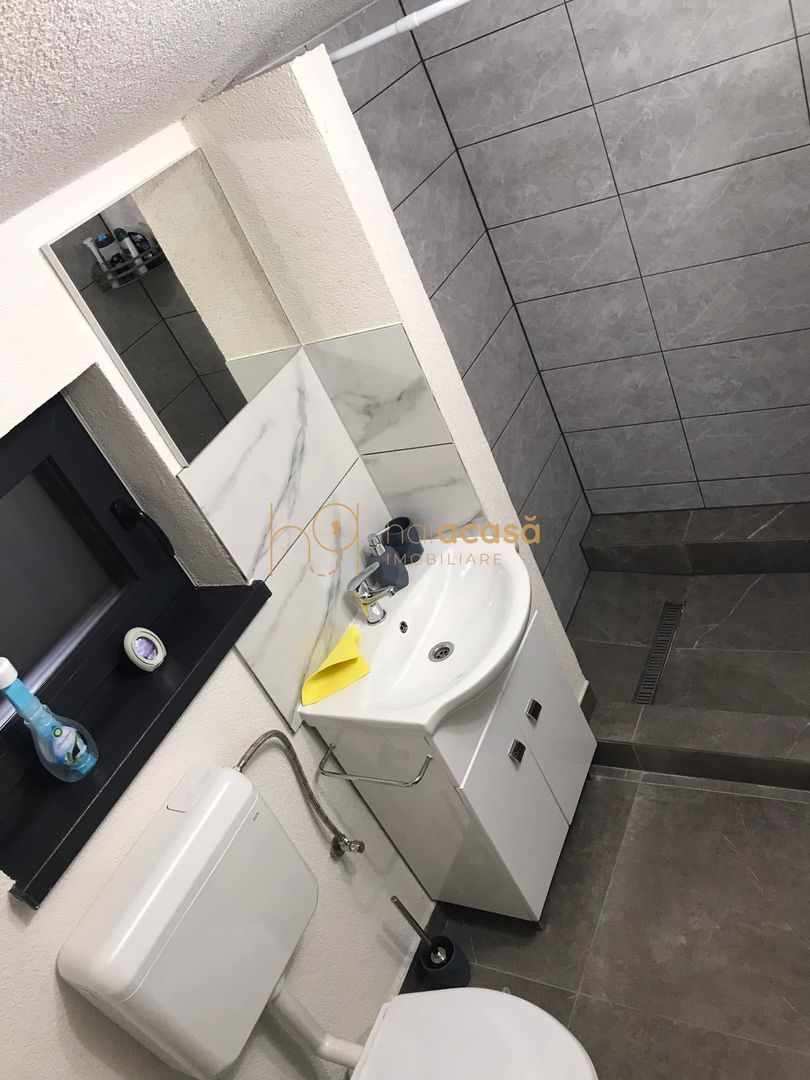 Afacere la cheie Casa de vacanta - Poză 8