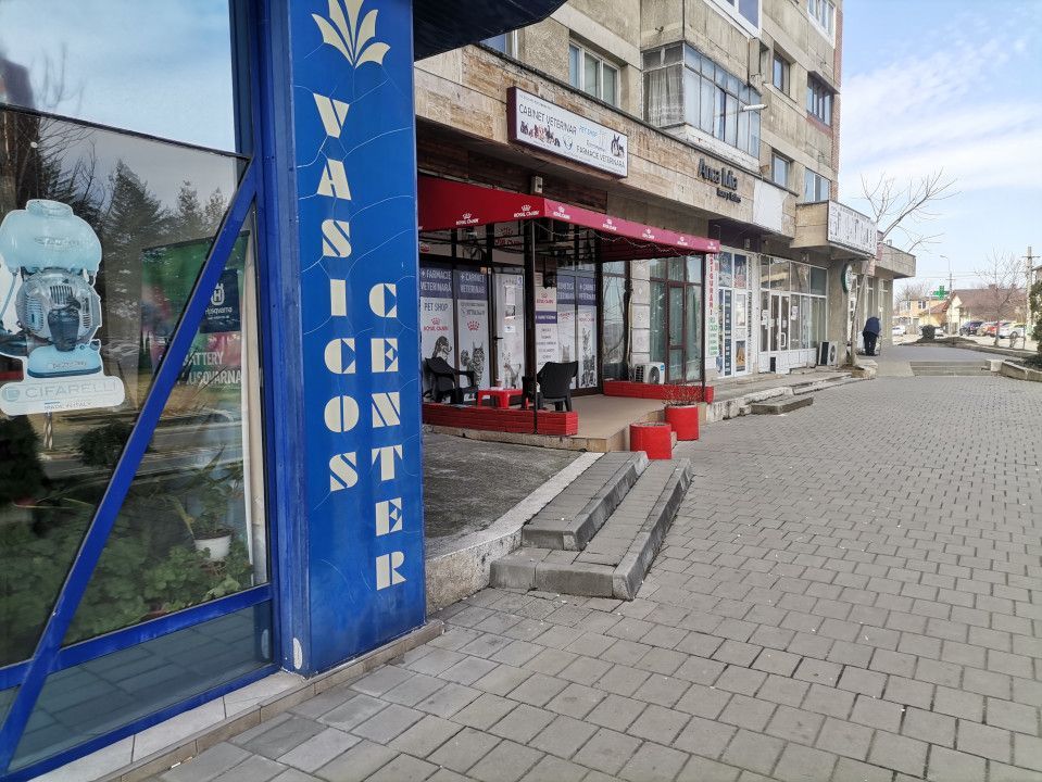 Inchiriere spatiu comercial, stradal, Craiovei - Poză 2